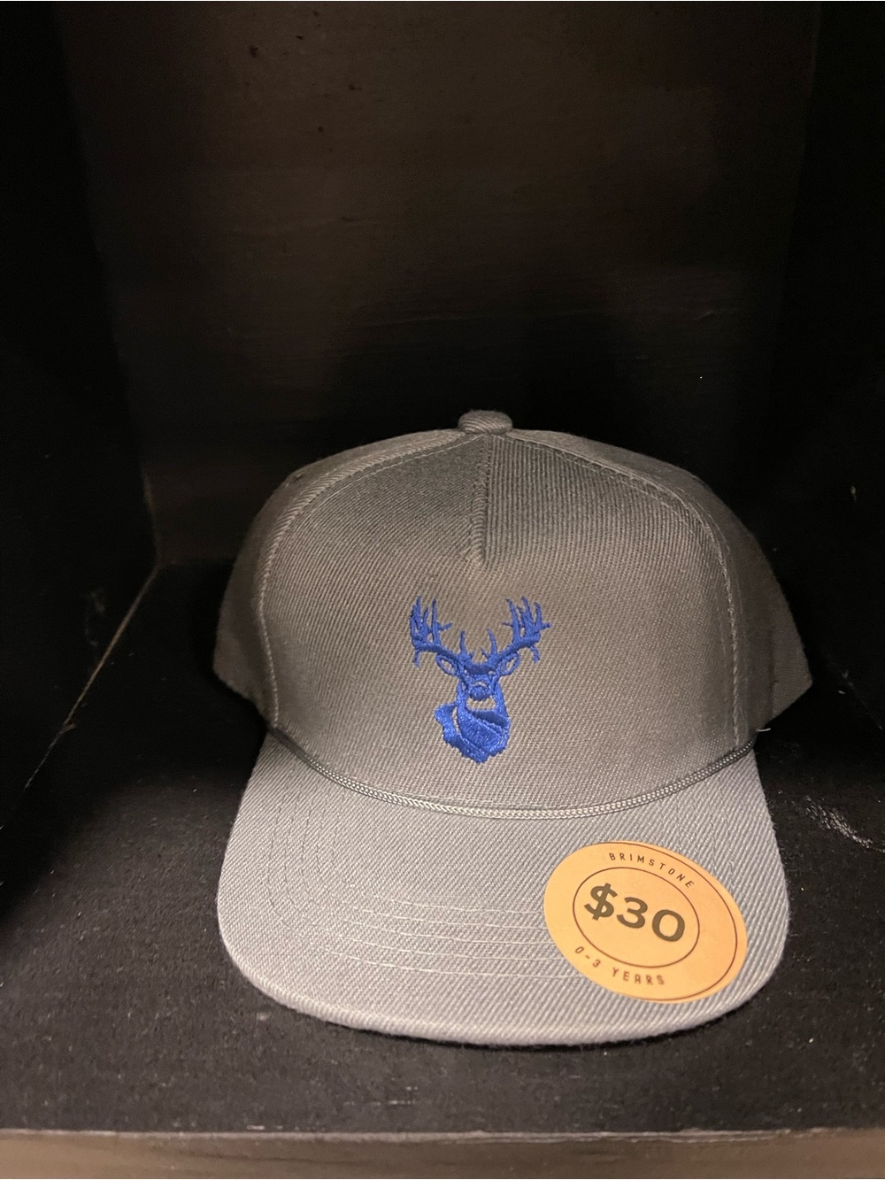 Kids Gray Snapback Hat with Blue Deer Logo
